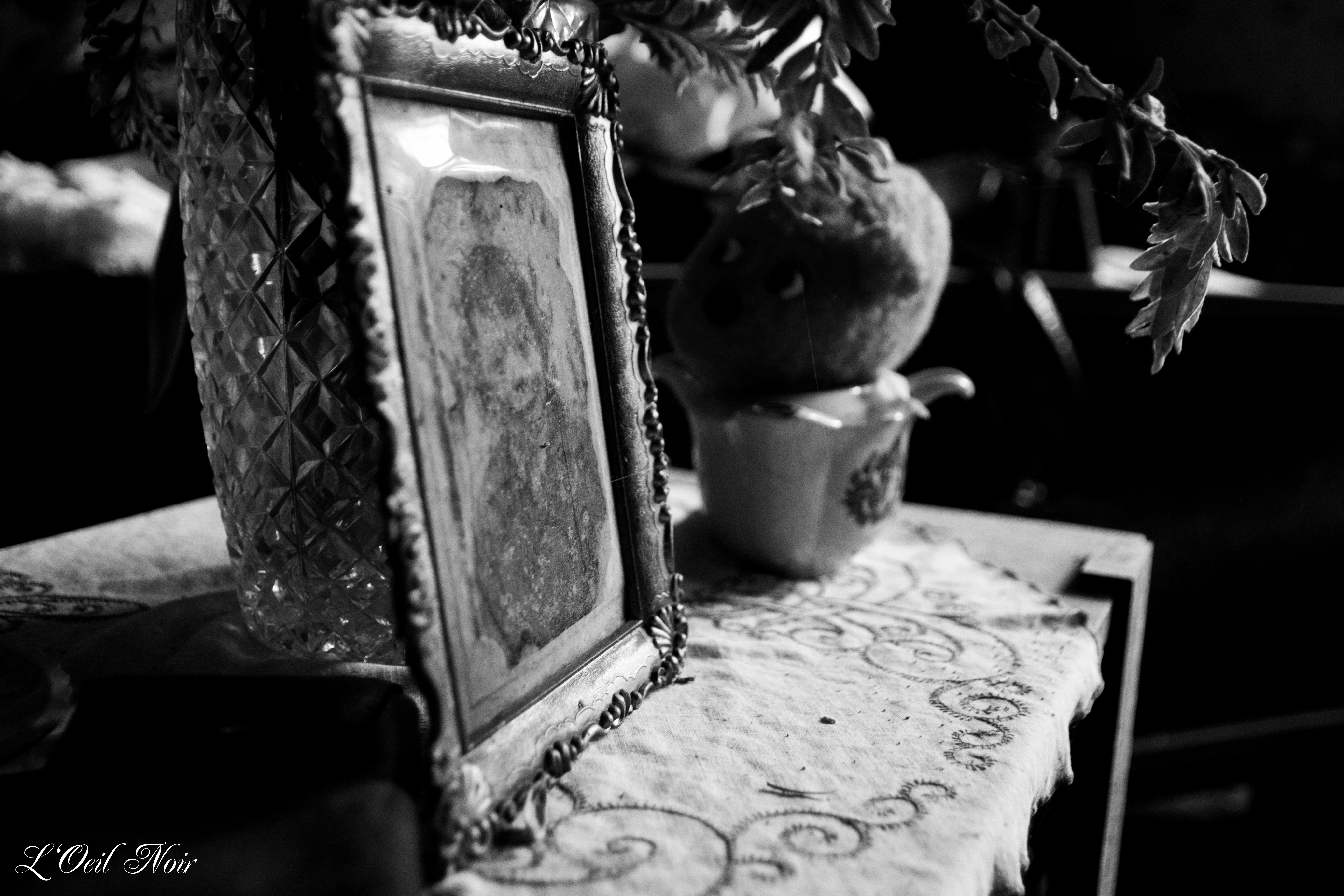 L' Oeil Noir Photographie